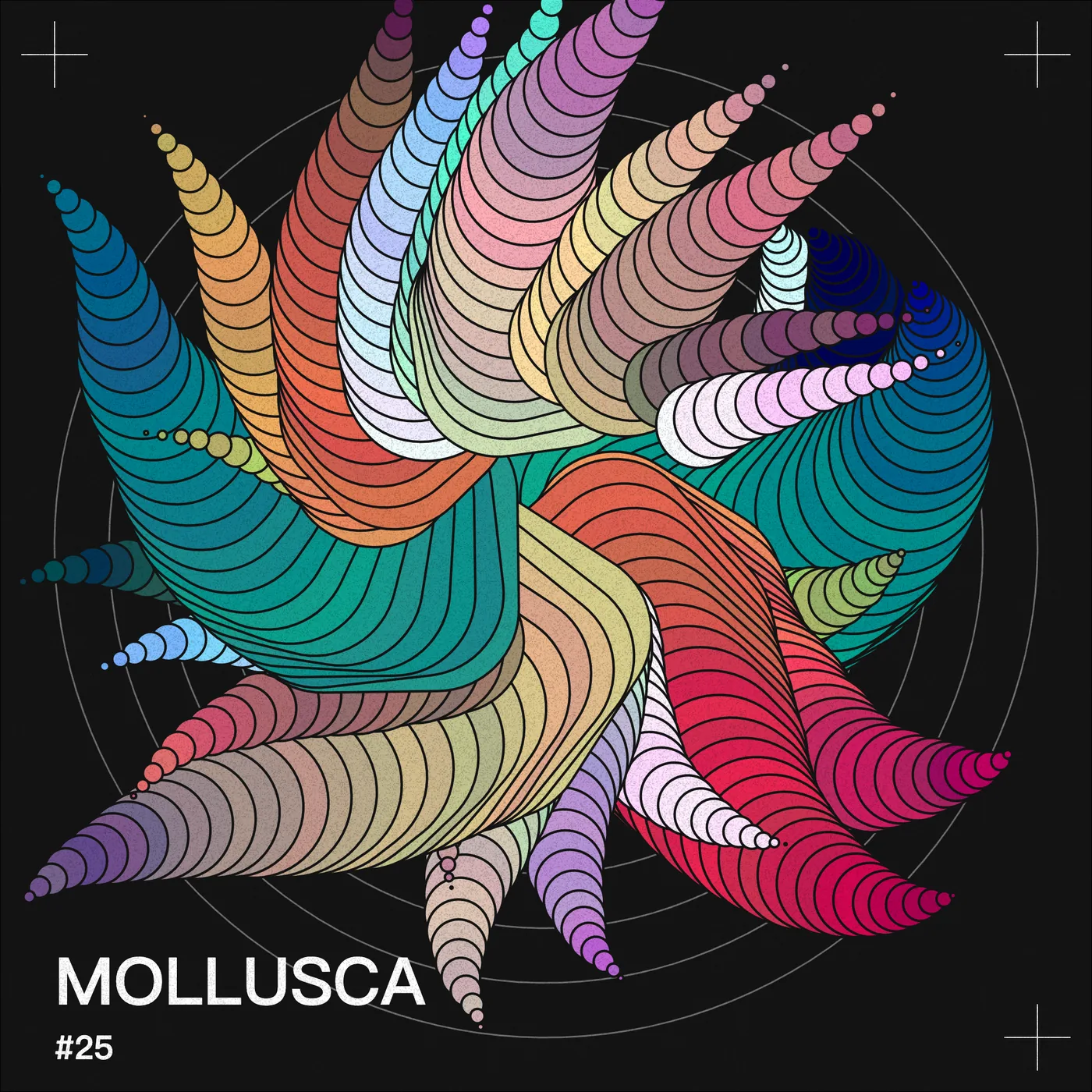 210928 Mollusca