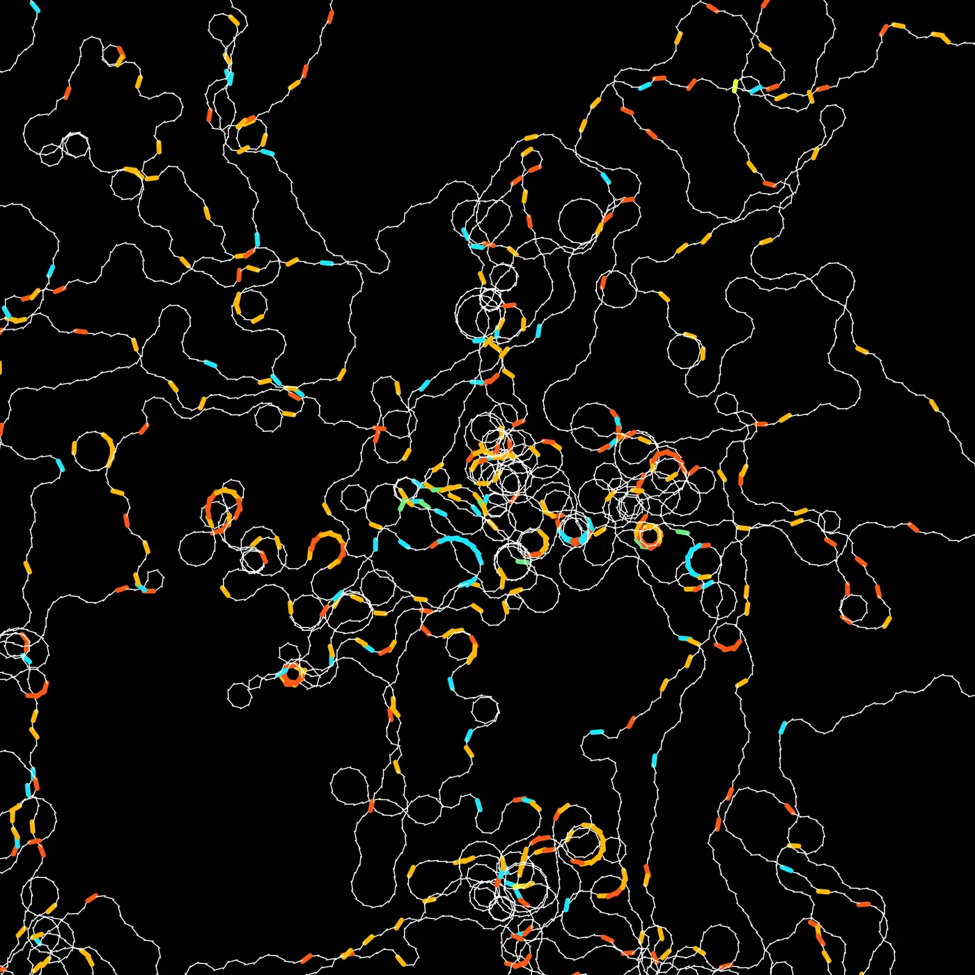 230512 Chromosome Study