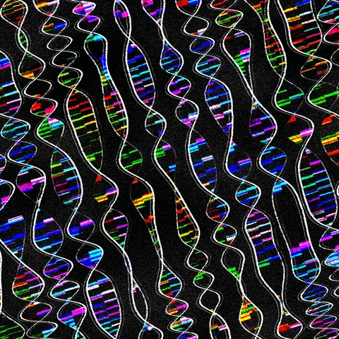 200705 DNA Mutation