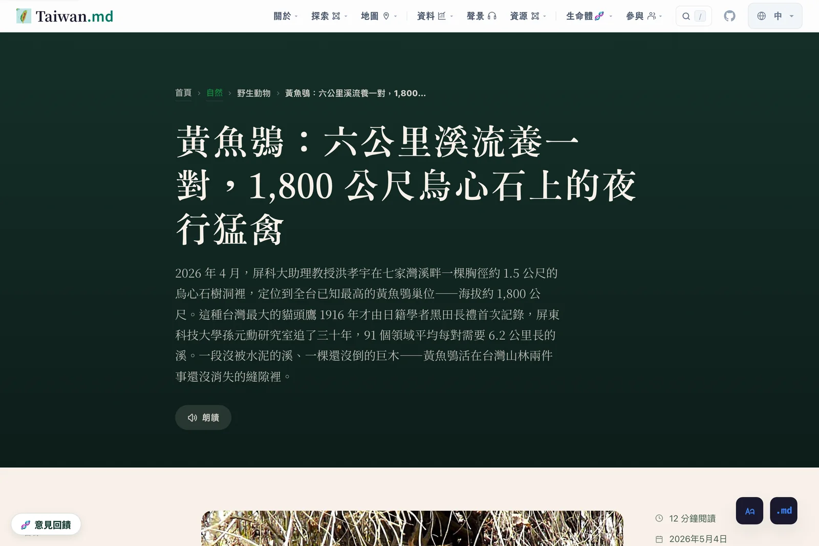 一篇文章：黃魚鴞