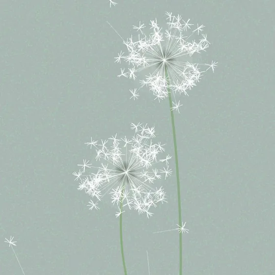 “蒲公英” by ☿, lesson 0 assignment