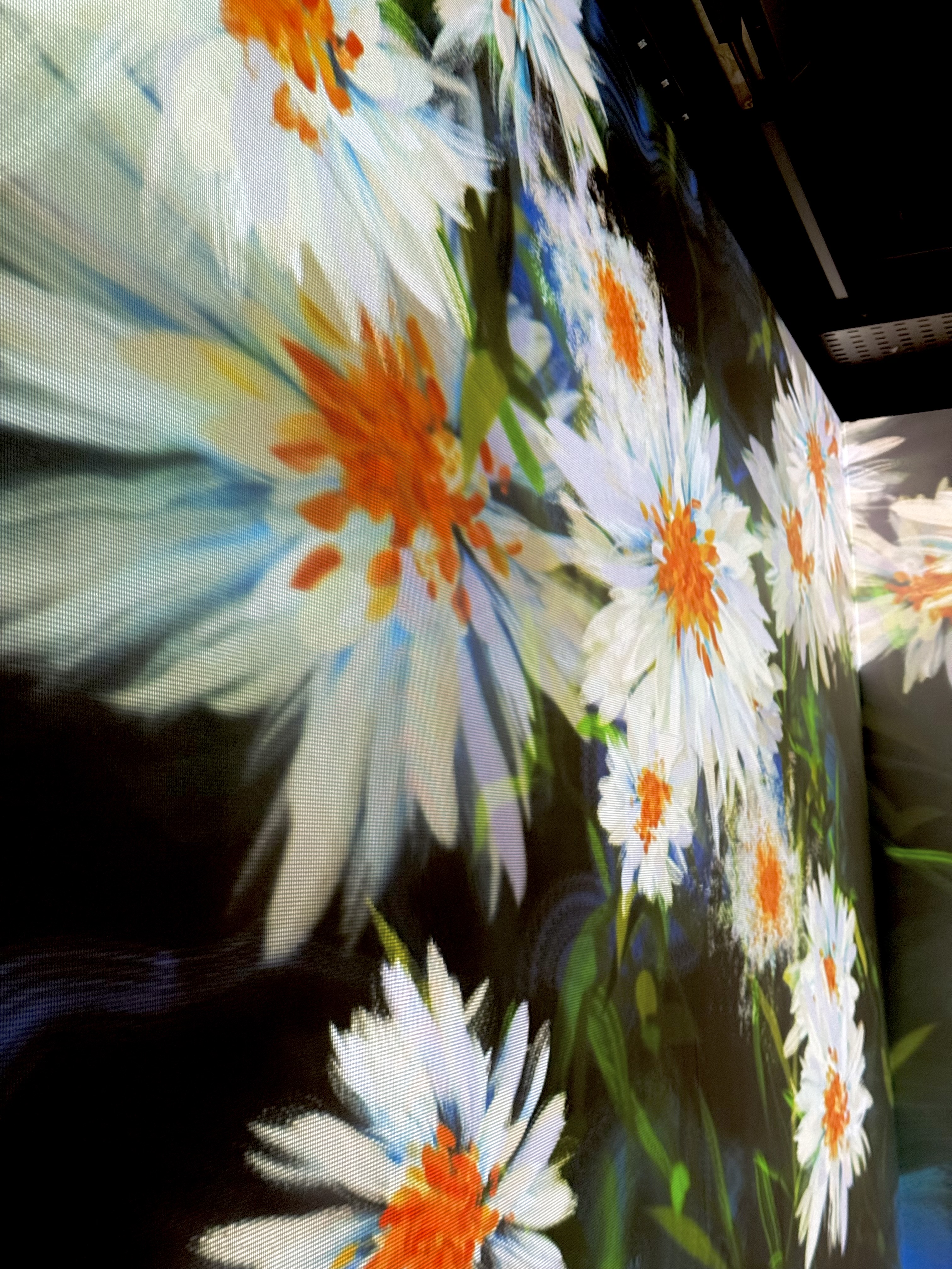 未竟之花 Unfinished Bloom